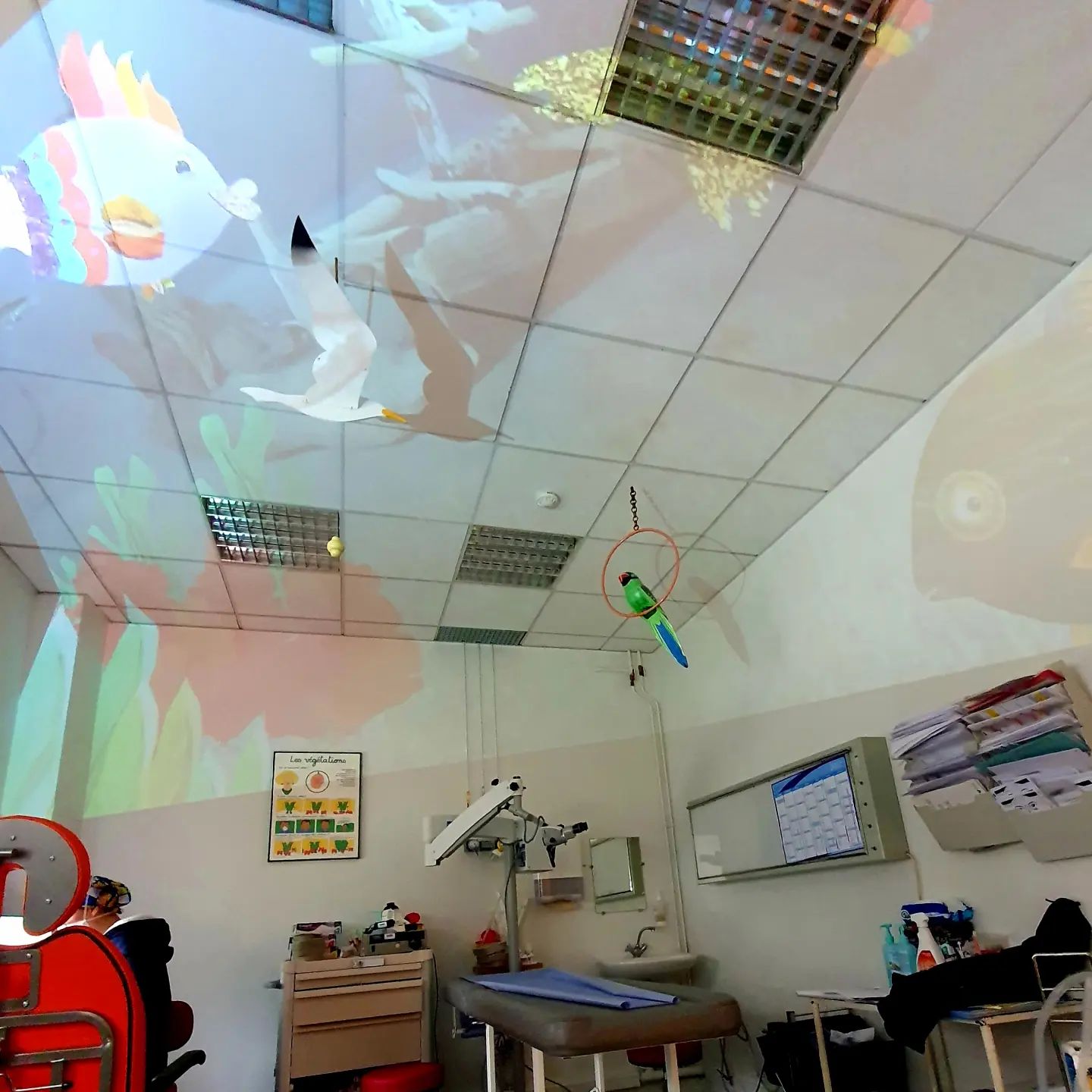 Illuminart En Consult